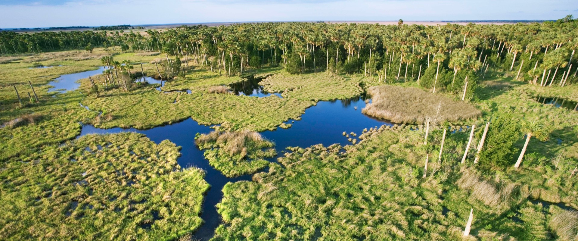 Are there any national parks near the villages florida?