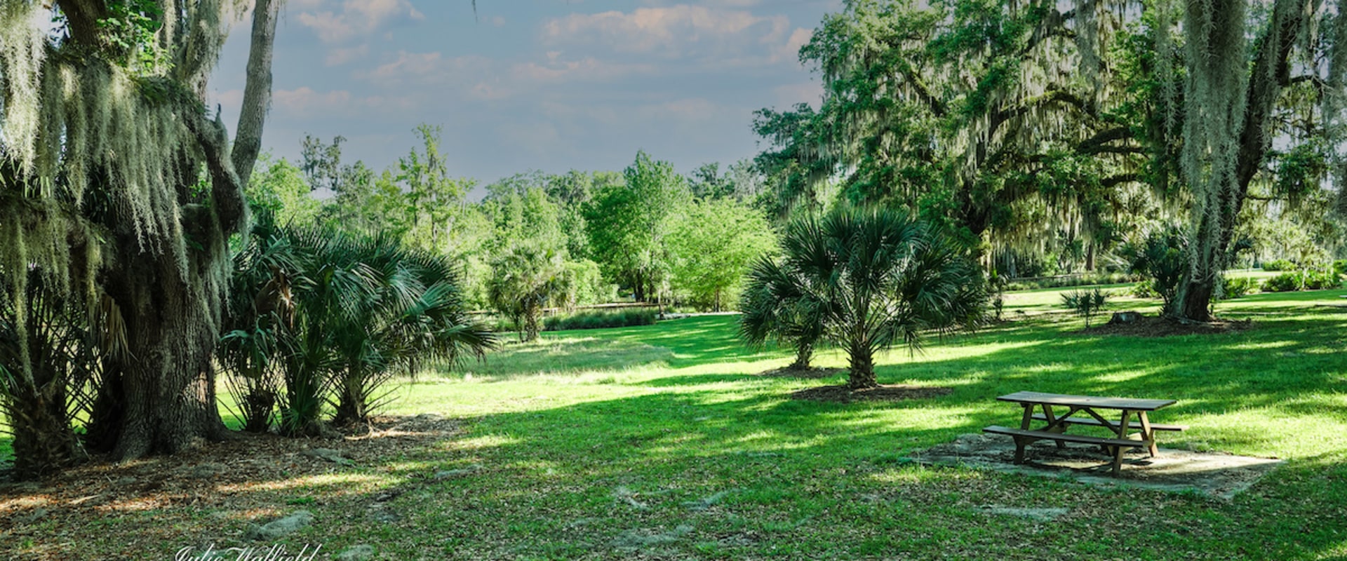 Are there any nature preserves near the villages florida?